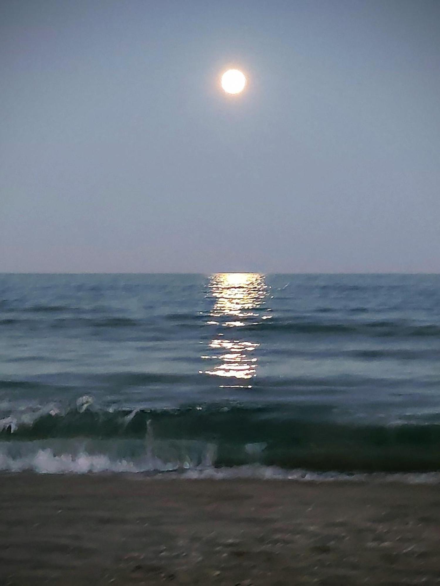 Cozy Apartment Close To The Beach In Beatiful Area Perelló Esterno foto